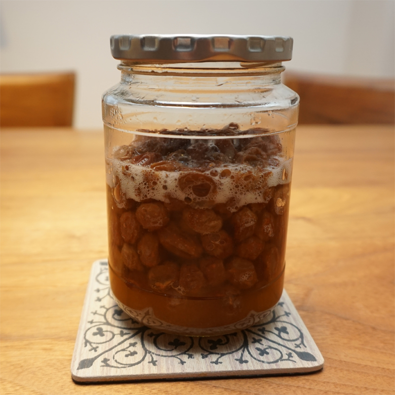 レーズン酵母（液種）