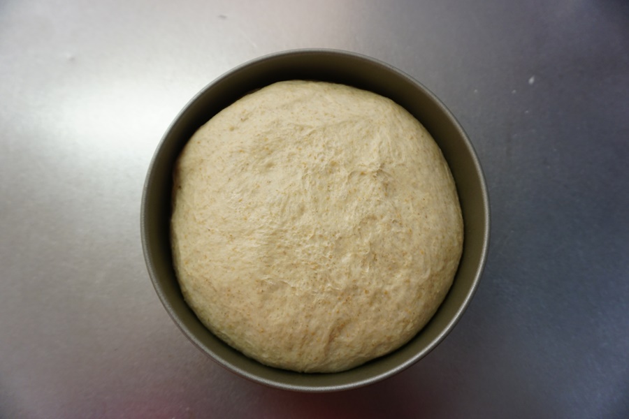 約1.5倍の大きさになったところでラップを外します。