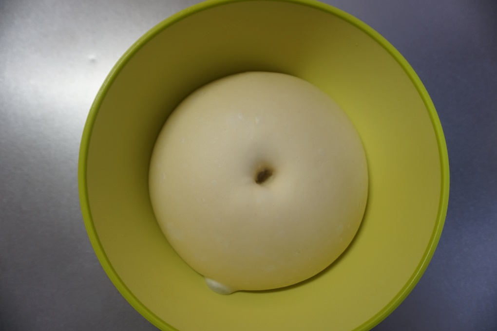 フィンガーテスト：生地が約2倍に膨らんだところで指に強力粉（分量外）を付け、生地の中央を穴をあけるように押します。 生地が戻って来なければ発酵完了です。