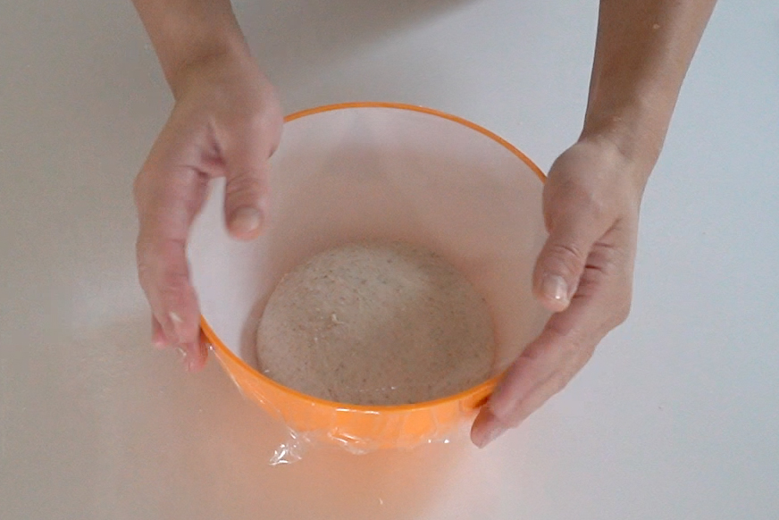 丸めてボウルに戻し、ラップをして3倍の大きさになるまで一次発酵します。